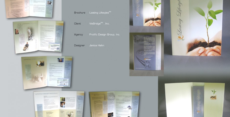 VIEBRIDGE_LL_BROCHURE_SPREAD.jpg